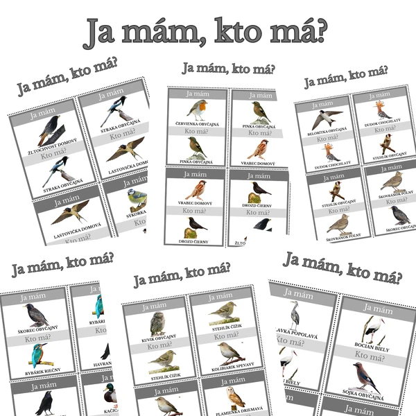 SVETOVÝ DEŇ VTÁCTVA - Hra Ja mám, kto má?