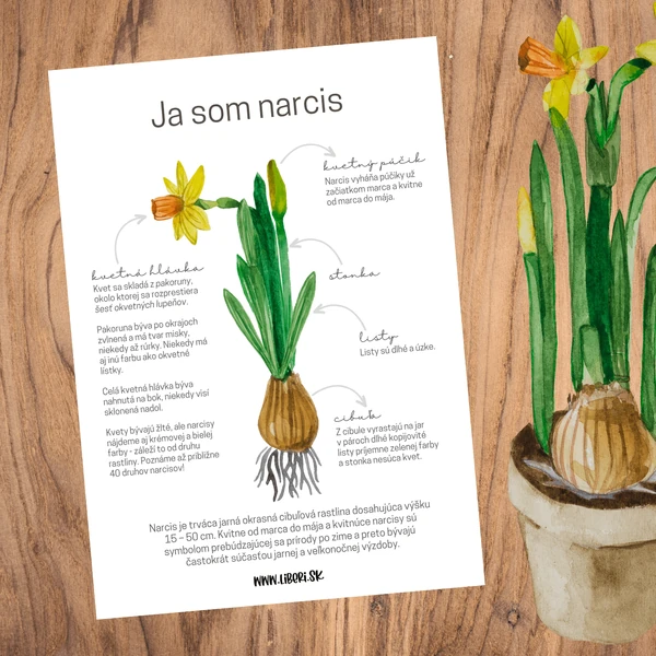  Ja som NARCIS – pracovné listy pre škôlkarov a 1. – 3. ročník ZŠ