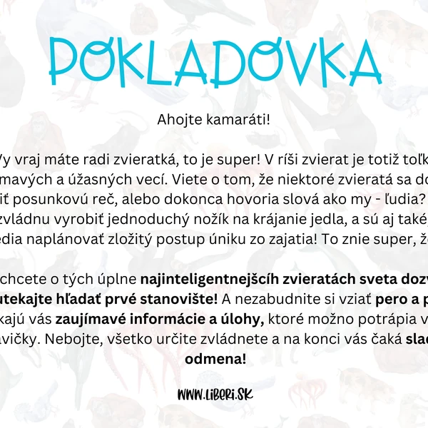 Pokladovka: Najinteligentnejšie zvieratá sveta