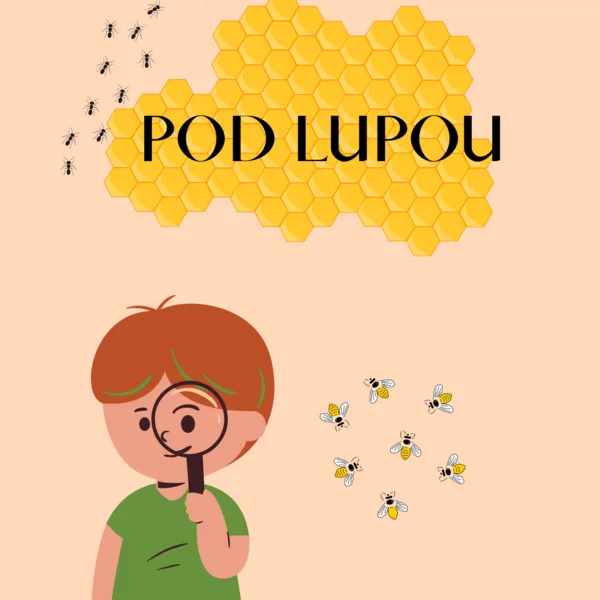 Pod lupou- hmyz