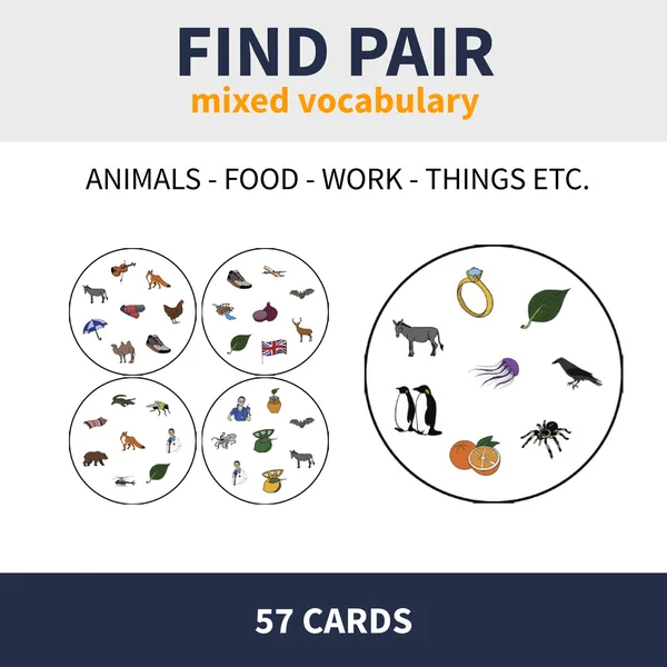ENG - A1 FIND PAIR (mixed vocabulary)