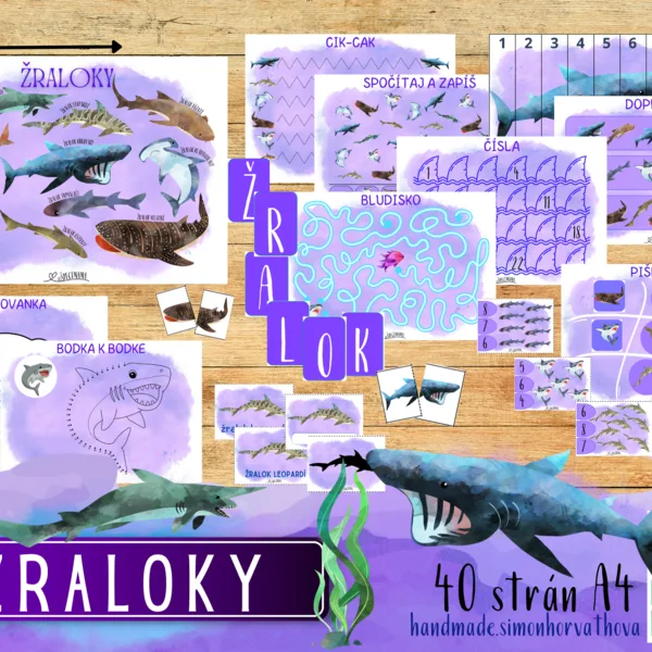 Žraloky, Živočíchy, Pod morskou hladinou, Podmorský svet, Oceán 