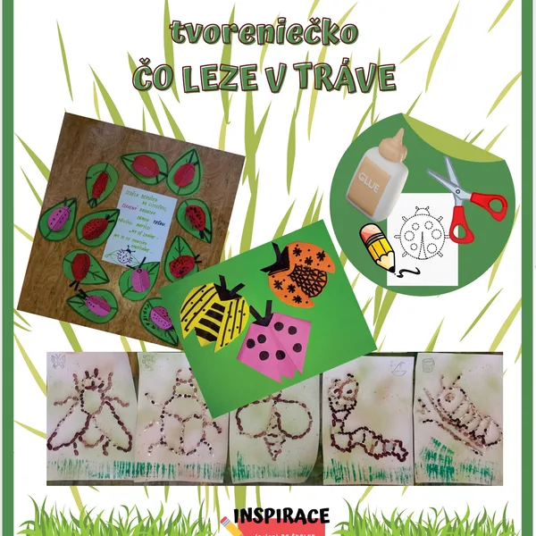 Tvorenie - ČO LEZE V TRÁVE 🐝🐞🐜🪲🕷️
