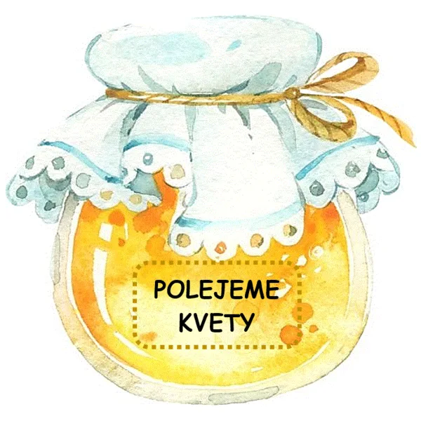 Povinnosti týždenníkov 
