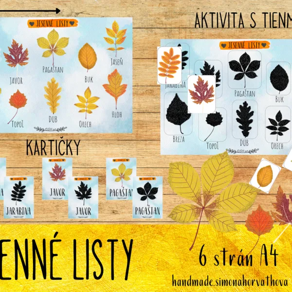 Jeseň, Jesenné listy, aktivity