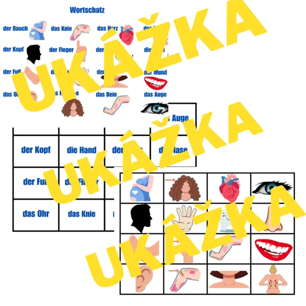 Časti tela - Pexeso - Körperteile
