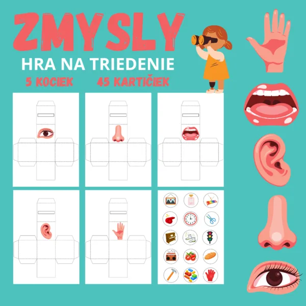 ZMYSLY - hra na triedenie