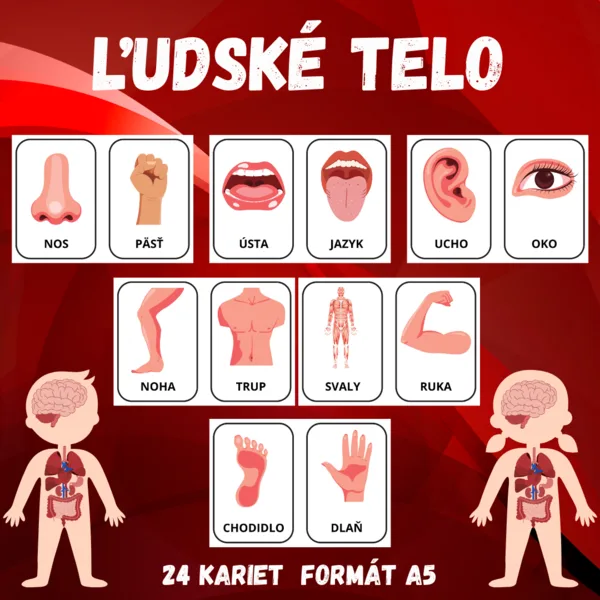 ĽUDSKÉ TELO - karty