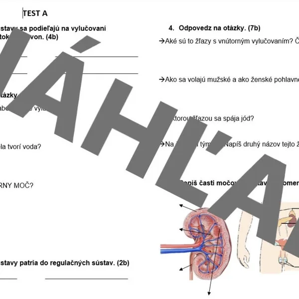 Test - 7.ročník - vylučovacia, močová sústava. hormonálna regulácia