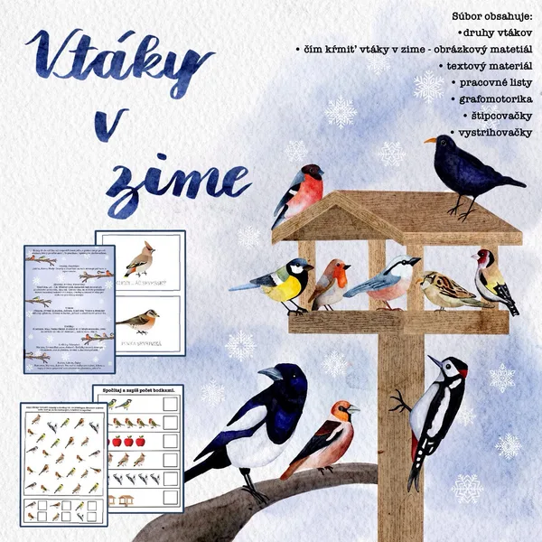Vtáky v zime