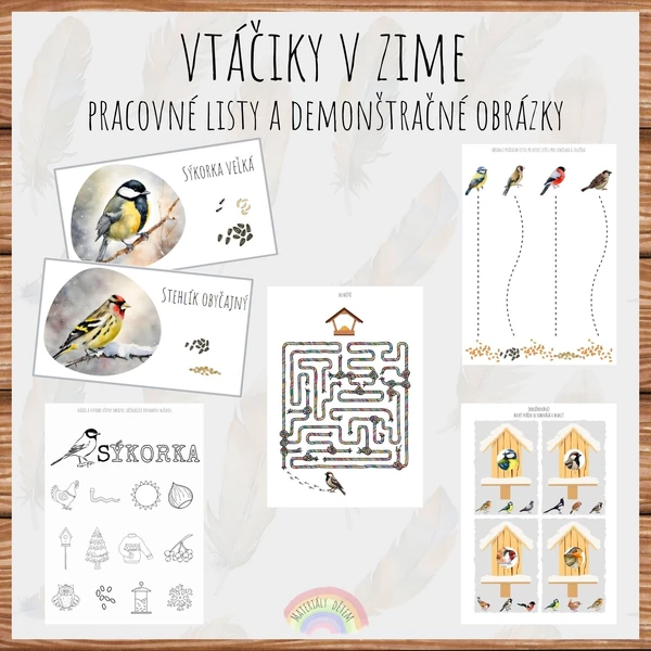 Vtáčiky v zime, demonštračné obrázky a pracovné listy