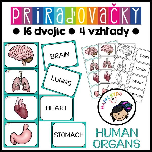 Priraďovačky - HUMAN ORGANS