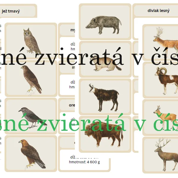 Lesné zvieratá v číslach