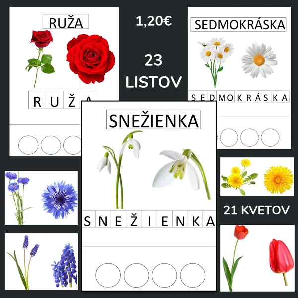 Kvety - písanie, slabiky
