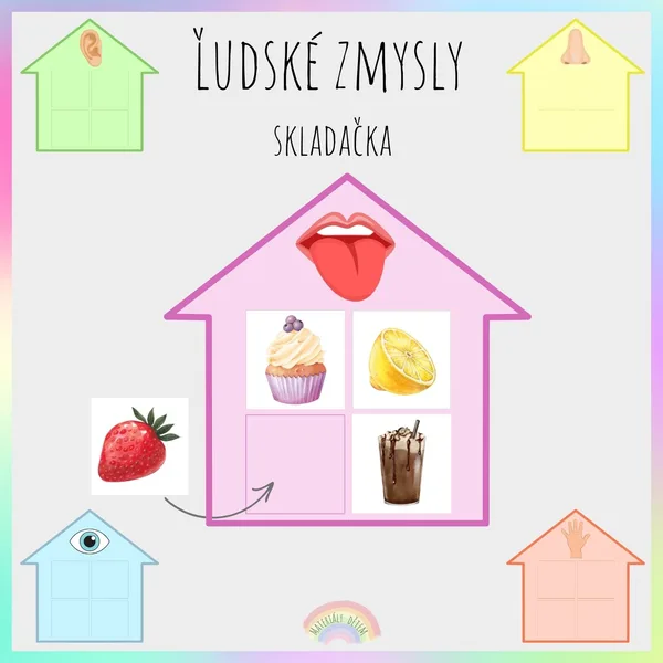 Ľudské zmysly, skladačka
