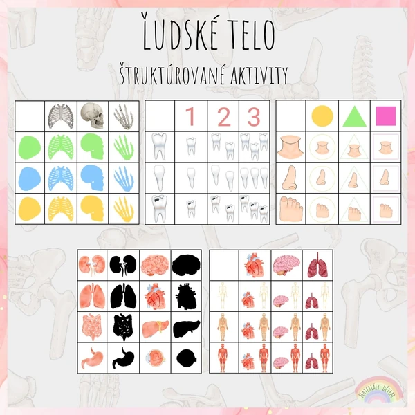 Ľudské telo, štruktúrované aktivity