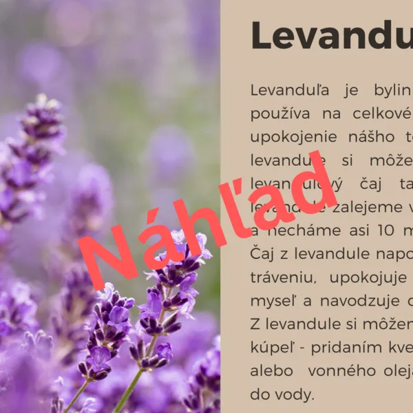 Liečivé bylinky / Spoločenstvo lúk