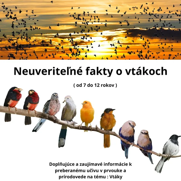 Neuveriteľné fakty o vtákoch