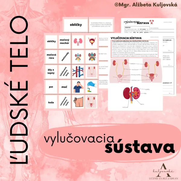 Vylučovacia sústava (súbor materiálov)