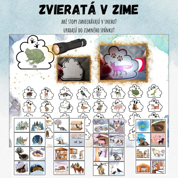 Presvieť baterkou a nájdi - zvieratá v zime, stopy