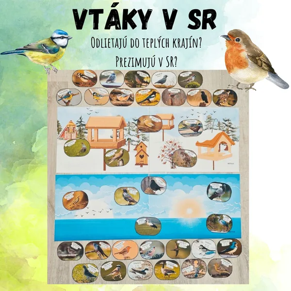 Naše vtáctvo, vtáky v SR - Prezimujú alebo odlietajú do teplých krajín? Kedy sa vracajú?