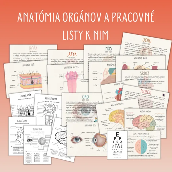 Ľudské telo - anatómia orgánov a pracovné listy, BONUS: PEXESO ľudské telo