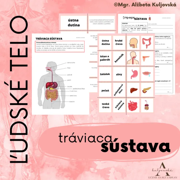 Tráviaca sústava (súbor materiálov)