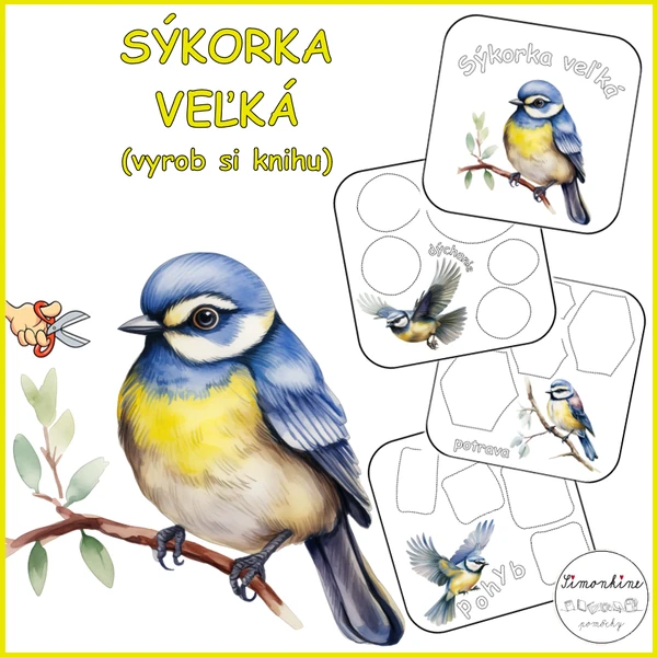 Sýkorka veľká - kniha