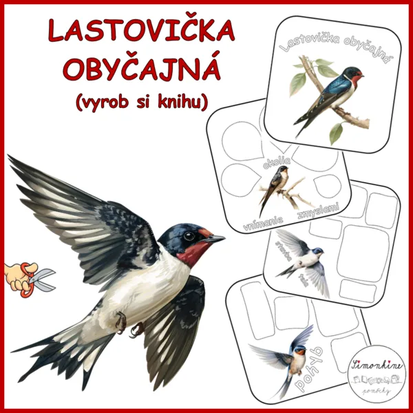 Lastovička obyčajná - kniha