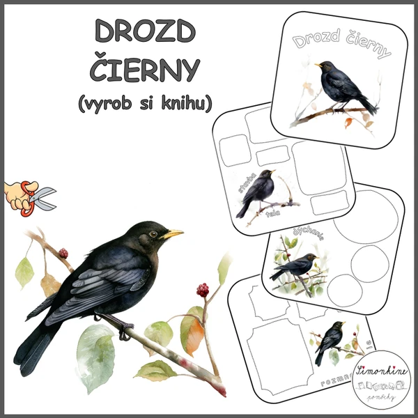 Drozd čierny - kniha