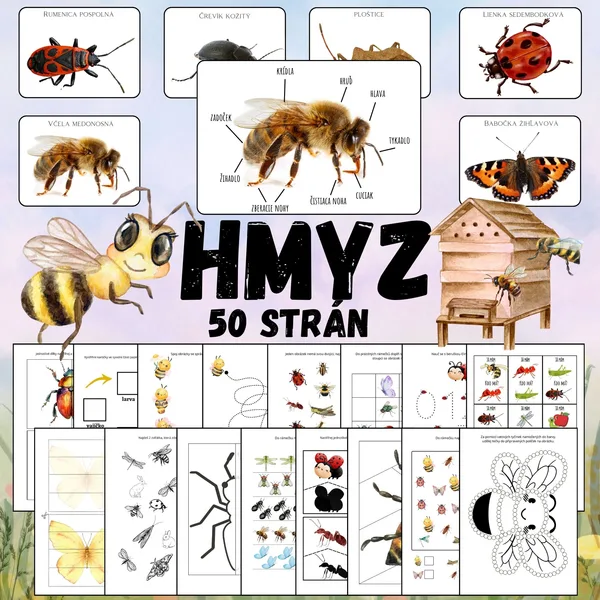 HMYZ, VČELY 