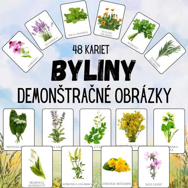 BYLINY,  liečivé rastliny - demonštračné obrázky