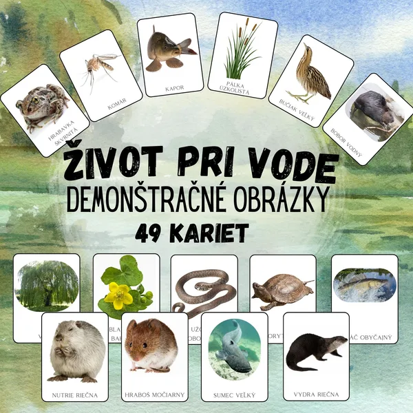 Život pri vode, zvieratá, rastliny, ryby - demonštračné karty