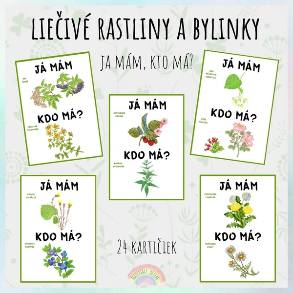 Ja mám, kto má? Liečivé rastliny a bylinky