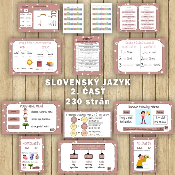 Slovenský jazyk - MEGABALÍČEK 2. časť (230 strán)