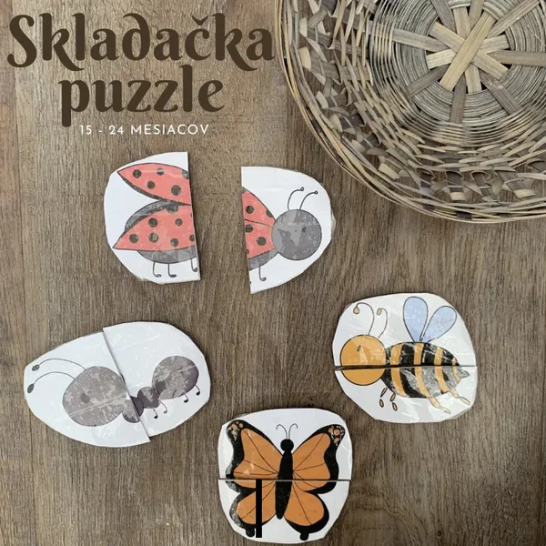 Predlohy na vlastné puzzle_Hmyz
