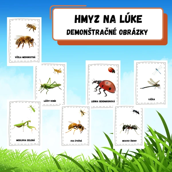 Demonštračné obrázky- hmyz