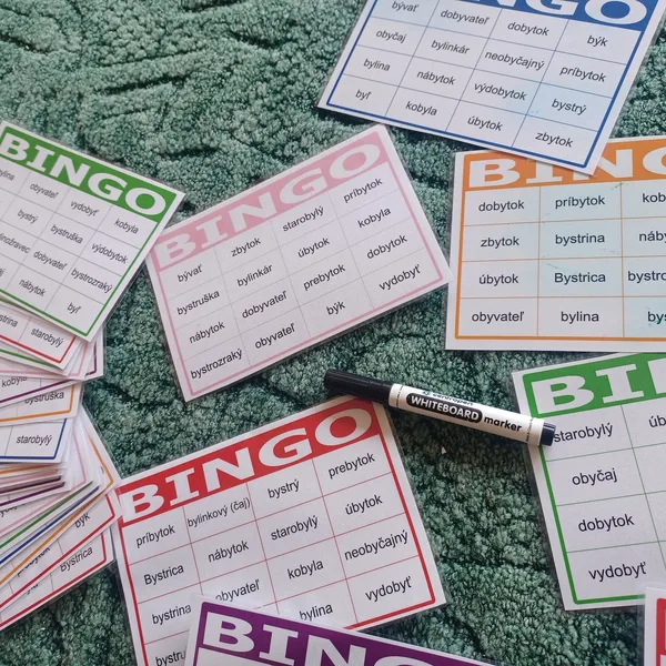 Bingo - vybrané slová