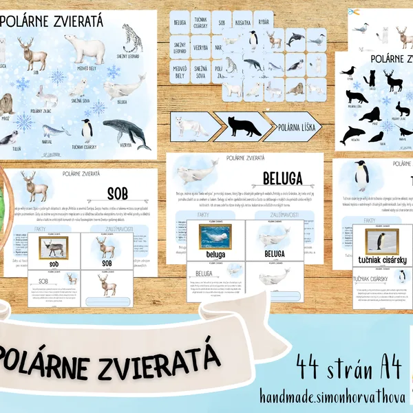 Polárne zvieratá, Polárne živočíchy, náučný súbor o živočíchoch, plagáty, kartičky