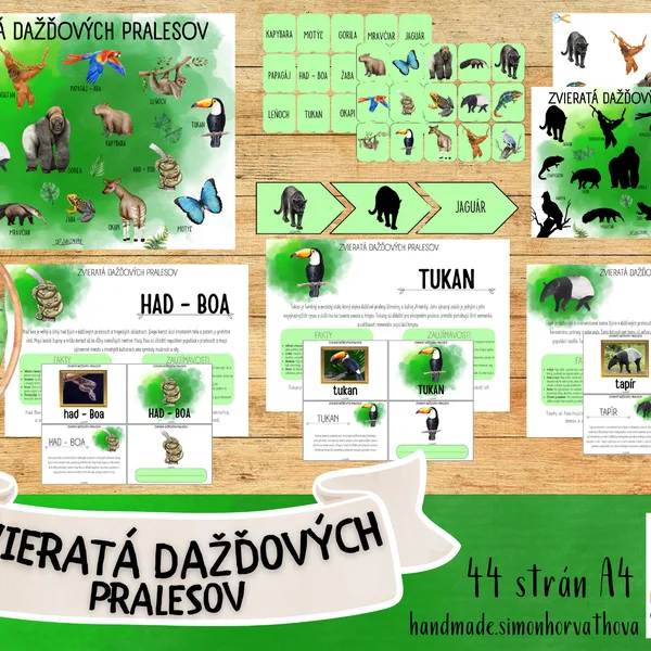 Zvieratá dažďových pralesov, živočíchy dažďových pralesov, náučný súbor o živočíchoch, plagáty, kartičky