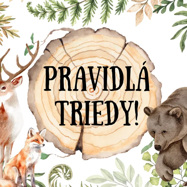 Pravidlá triedy- Les