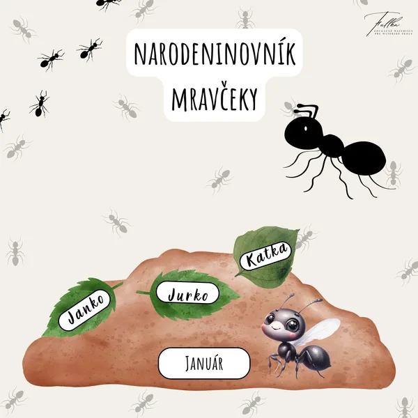 Narodeninovník - Mravčeky