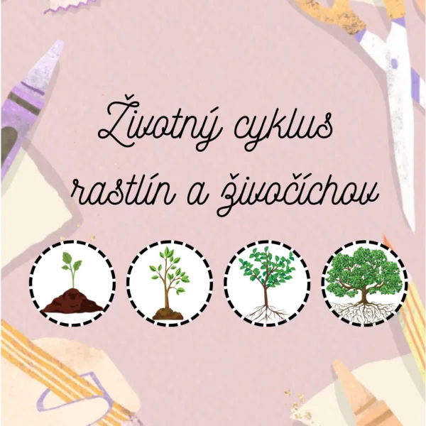 Životný cyklus vybraných rastlín a živočíchov