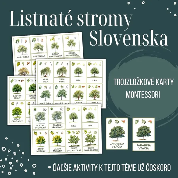 Listnaté Stromy - Trojzložkové karty (Montessori)