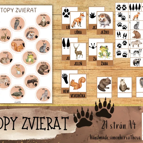 Stopy zvierat, Zvieratá, Lesné zvieratá, Jeseň, Jesenné aktivity