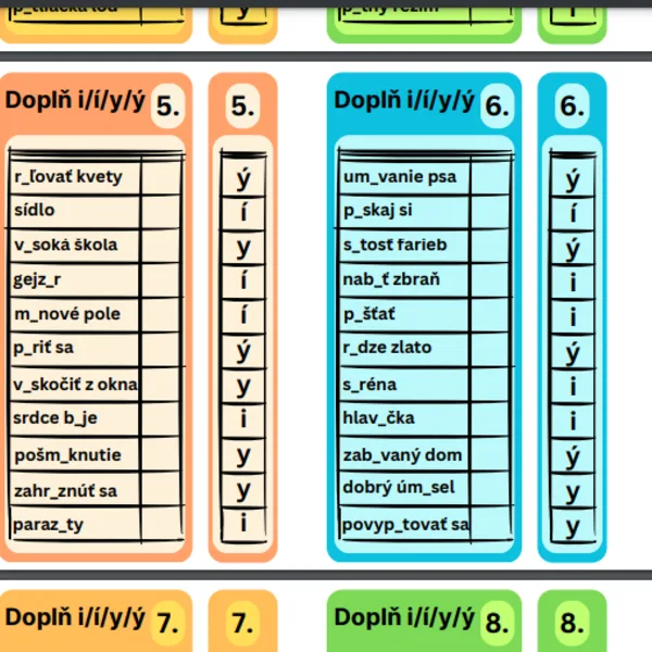 Doplň i/í/y/ý