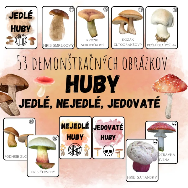 Demonštračné obrázky - huby - jedlé, nejedlé, jedovaté 