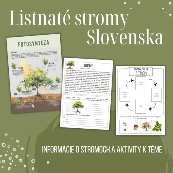 Listnaté stromy - hravé aktivity