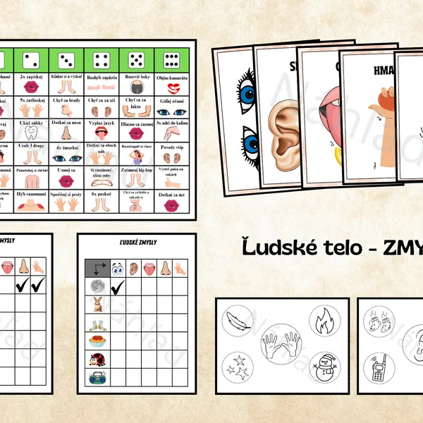 Ľudské telo - Zmysly