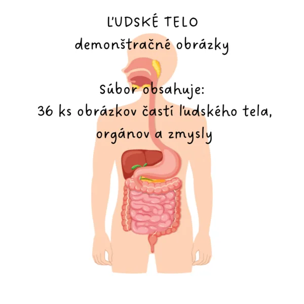 Ľudské telo a jeho časti, orgány, moje telo, zmysly - demonštračné obrázky